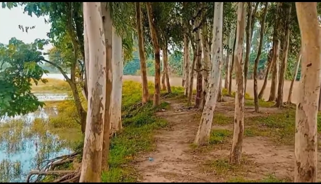 আনন্দ নগর পার্ক