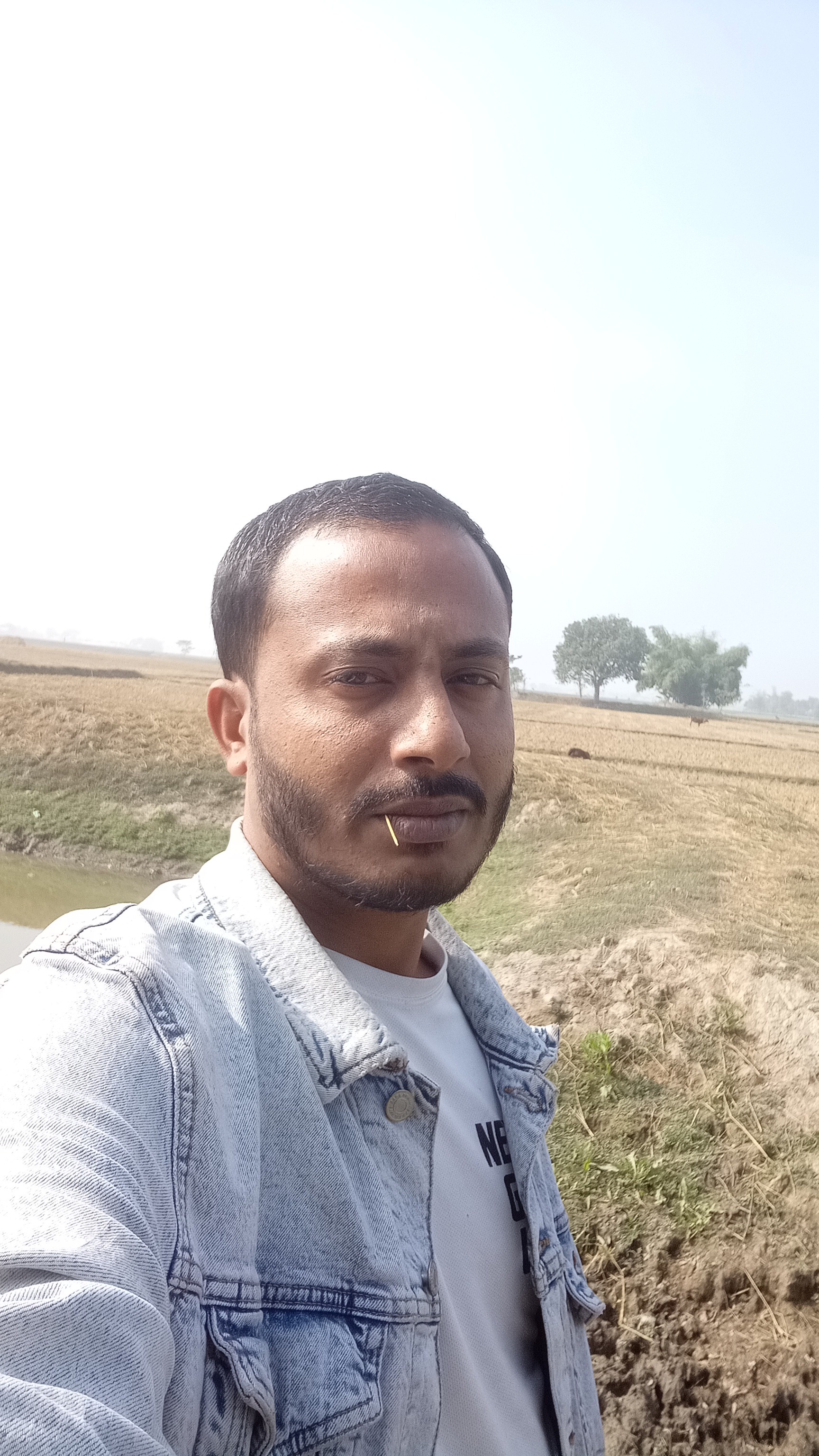 Post media