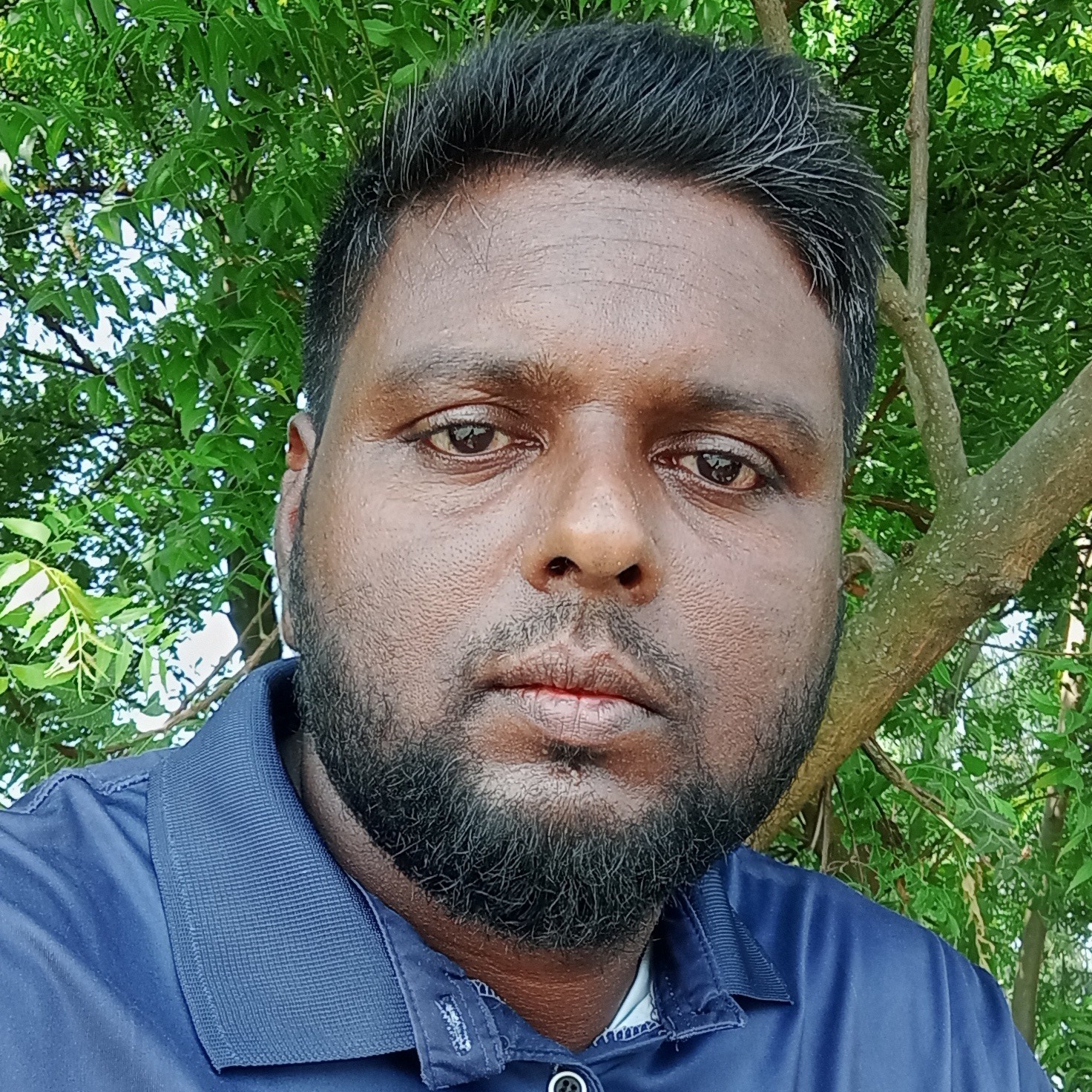 শেখ বাদশা