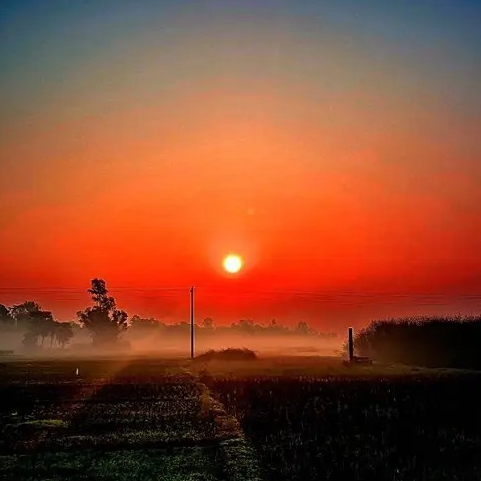 মোছাব্বির হোসেন মারুফ