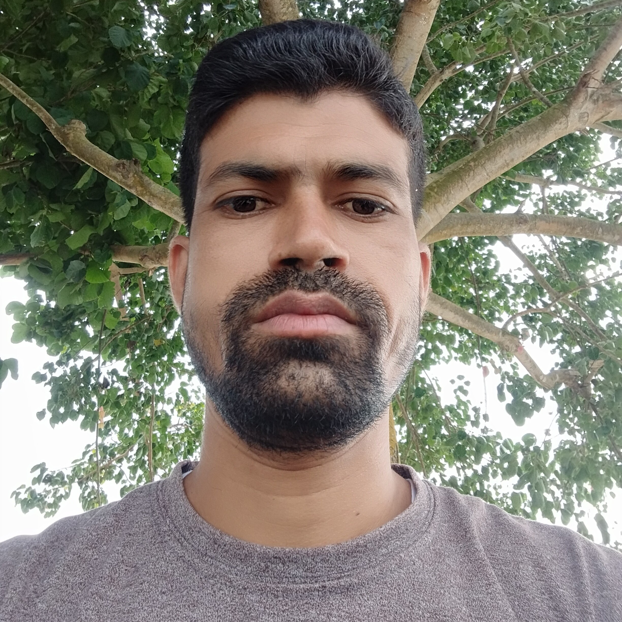 Md.Anowarul Islam