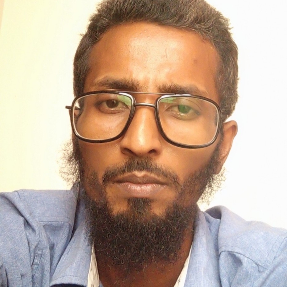রওশন আলম