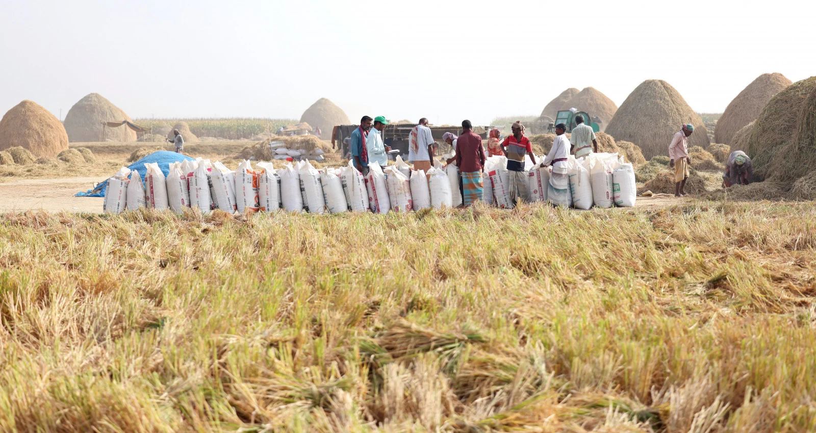 Dhulauri 3