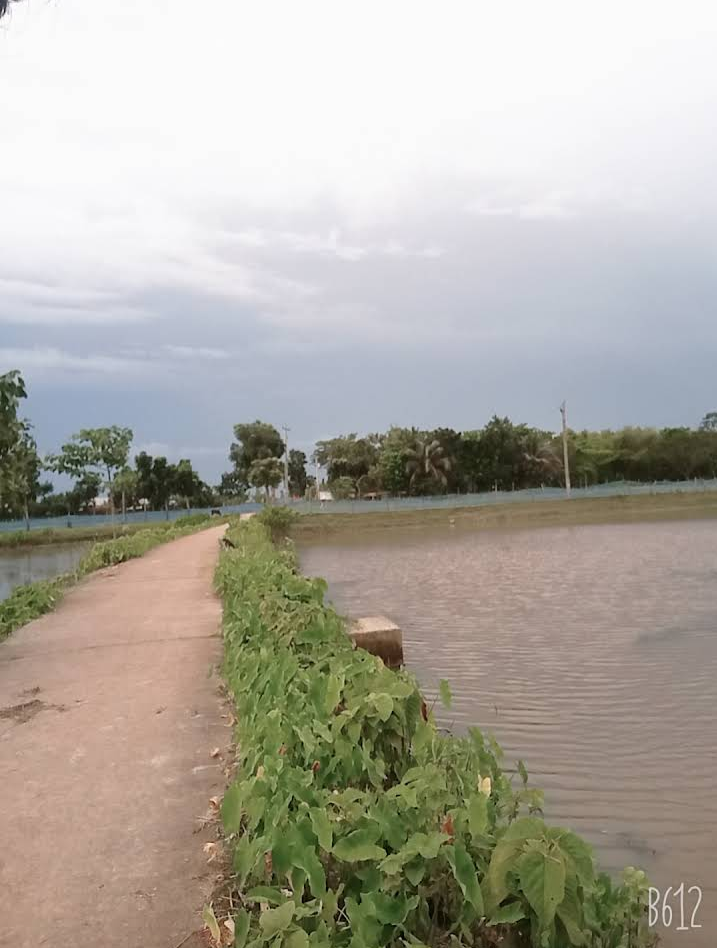 Birampur প্রোফাইল ছবি