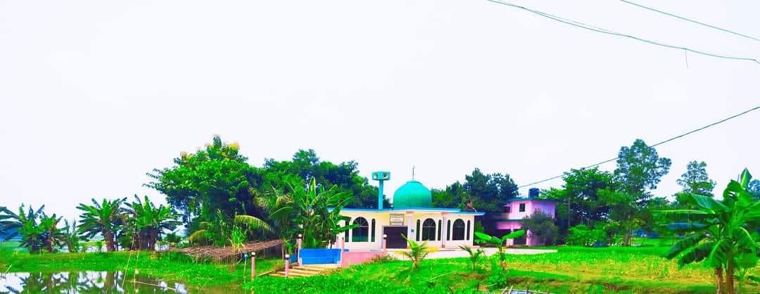 Hamsapur প্রোফাইল ছবি