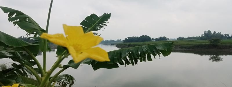Kulanandapur 1